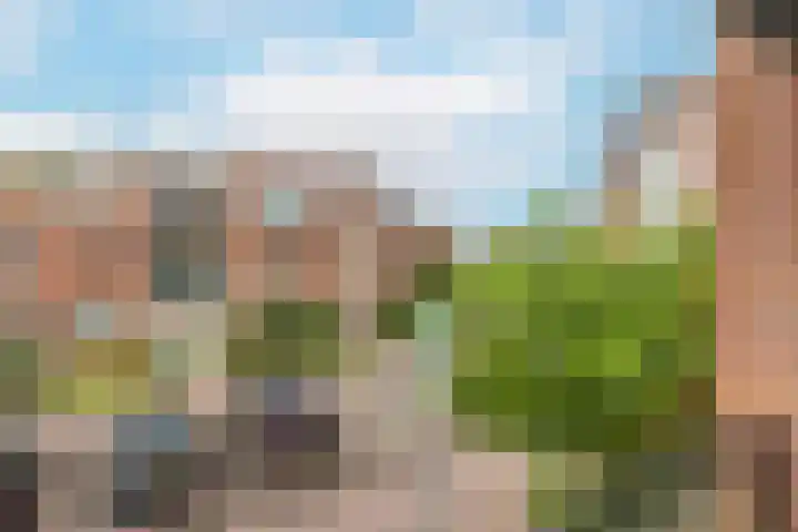 Noweestraat 24 Wageningen thumbnail 20