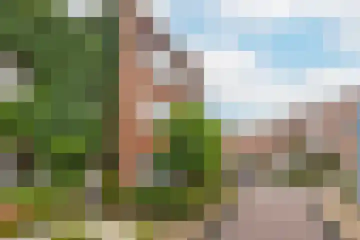 Noweestraat 24 Wageningen thumbnail 26