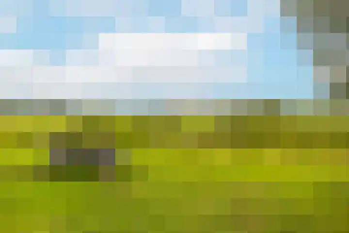 Noweestraat 24 Wageningen thumbnail 31