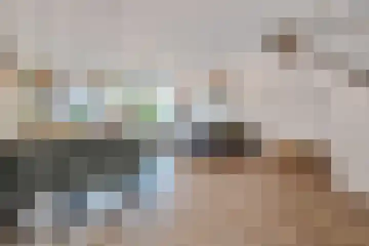 Noweetuinen 18 Delft thumbnail 10