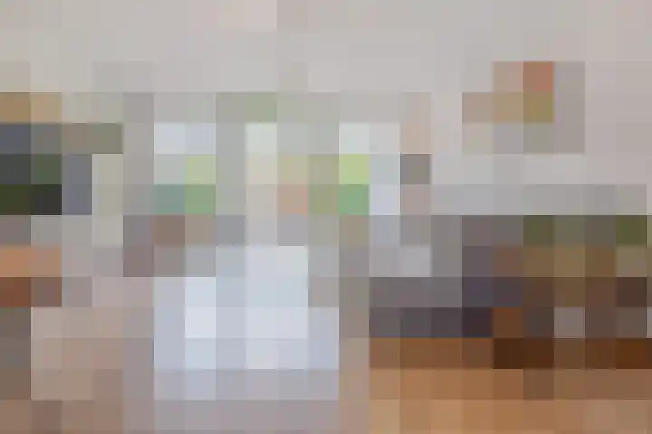 Noweetuinen 18 Delft thumbnail 11