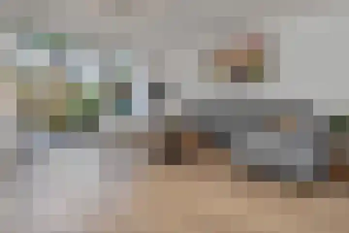 Noweetuinen 18 Delft thumbnail 12