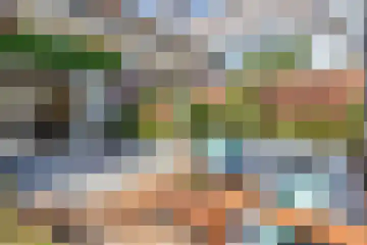 Noweetuinen 18 Delft thumbnail 19