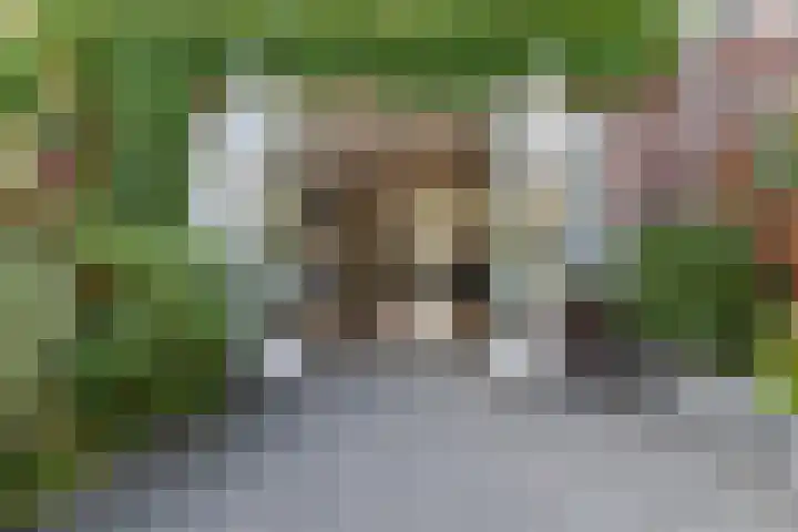 Noweetuinen 18 Delft thumbnail 20