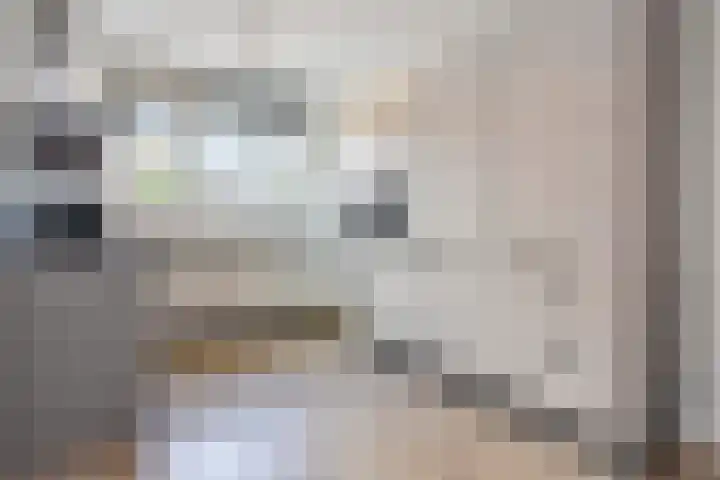 Noweetuinen 18 Delft thumbnail 25