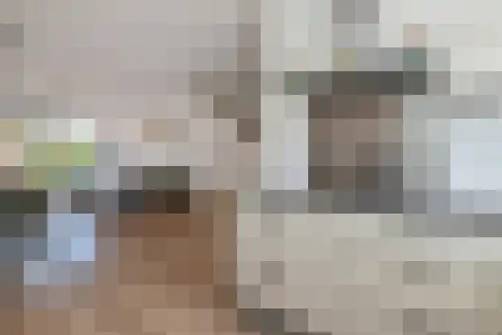 Noweetuinen 18 Delft thumbnail 28