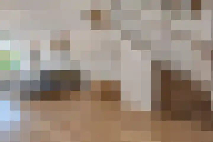 Noweetuinen 18 Delft thumbnail 29