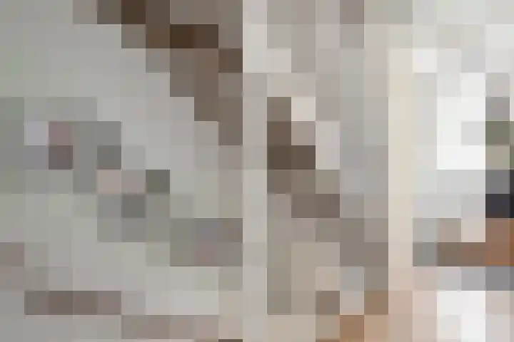 Noweetuinen 18 Delft thumbnail 30