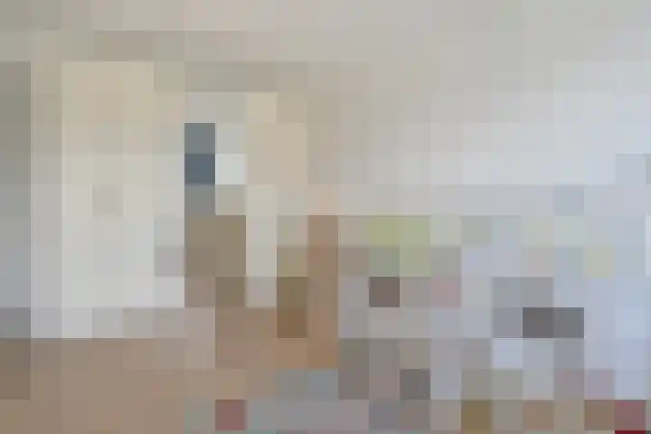 Noweetuinen 18 Delft thumbnail 32