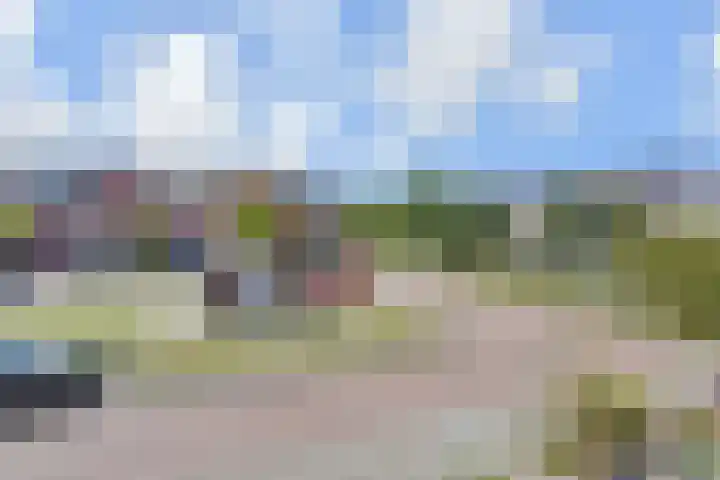 Noweetuinen 18 Delft thumbnail 38