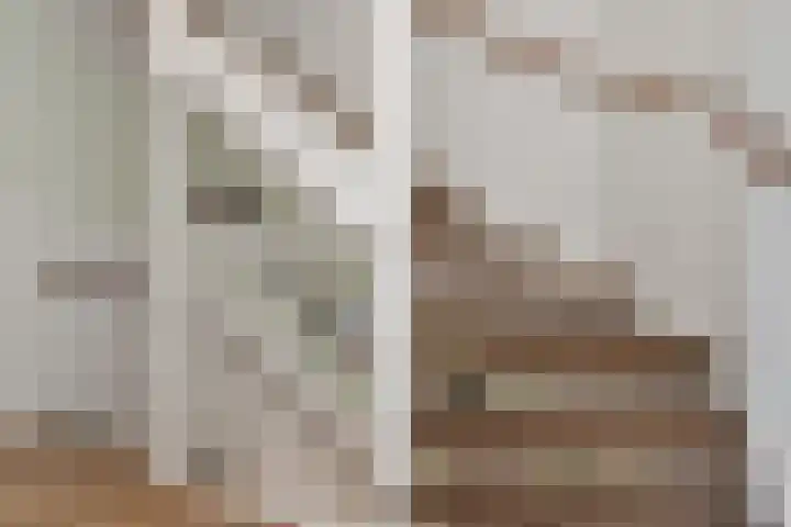 Noweetuinen 18 Delft thumbnail 39