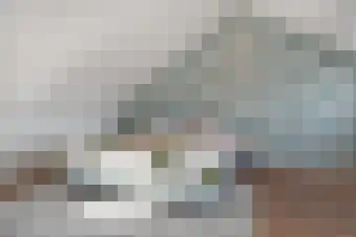 Noweetuinen 18 Delft thumbnail 41