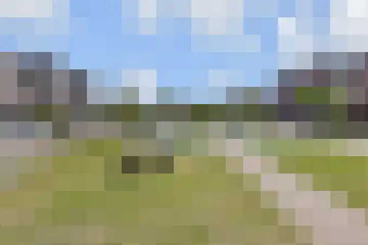 Noweetuinen 18 Delft thumbnail 48