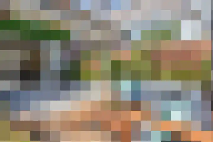 Noweetuinen 18 Delft thumbnail 5