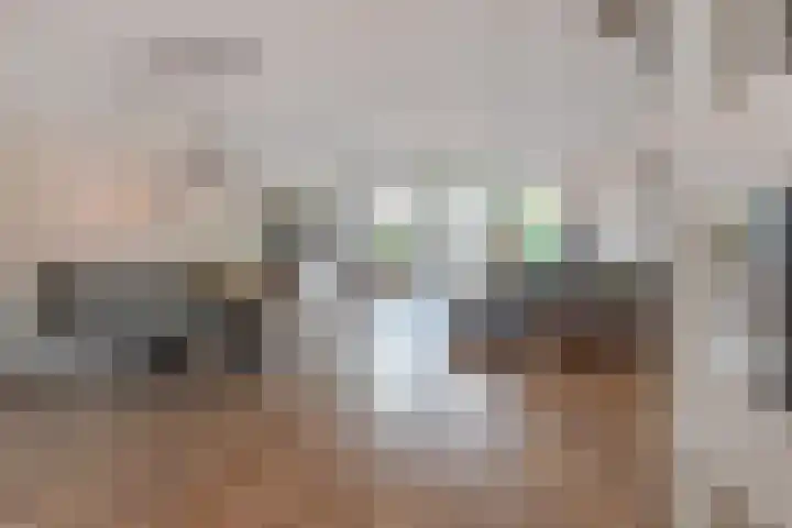 Noweetuinen 18 Delft thumbnail 9