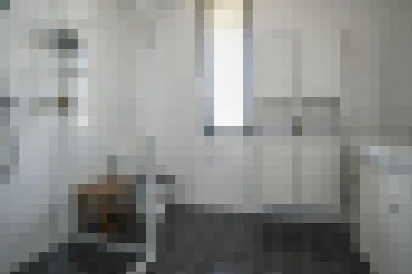 Noweetuinen 22 Delft thumbnail 29