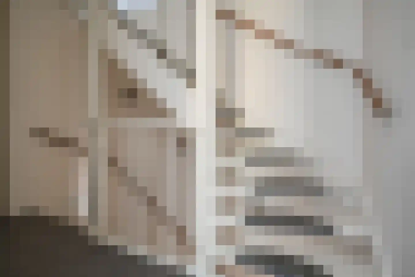 Noweetuinen 22 Delft thumbnail 30