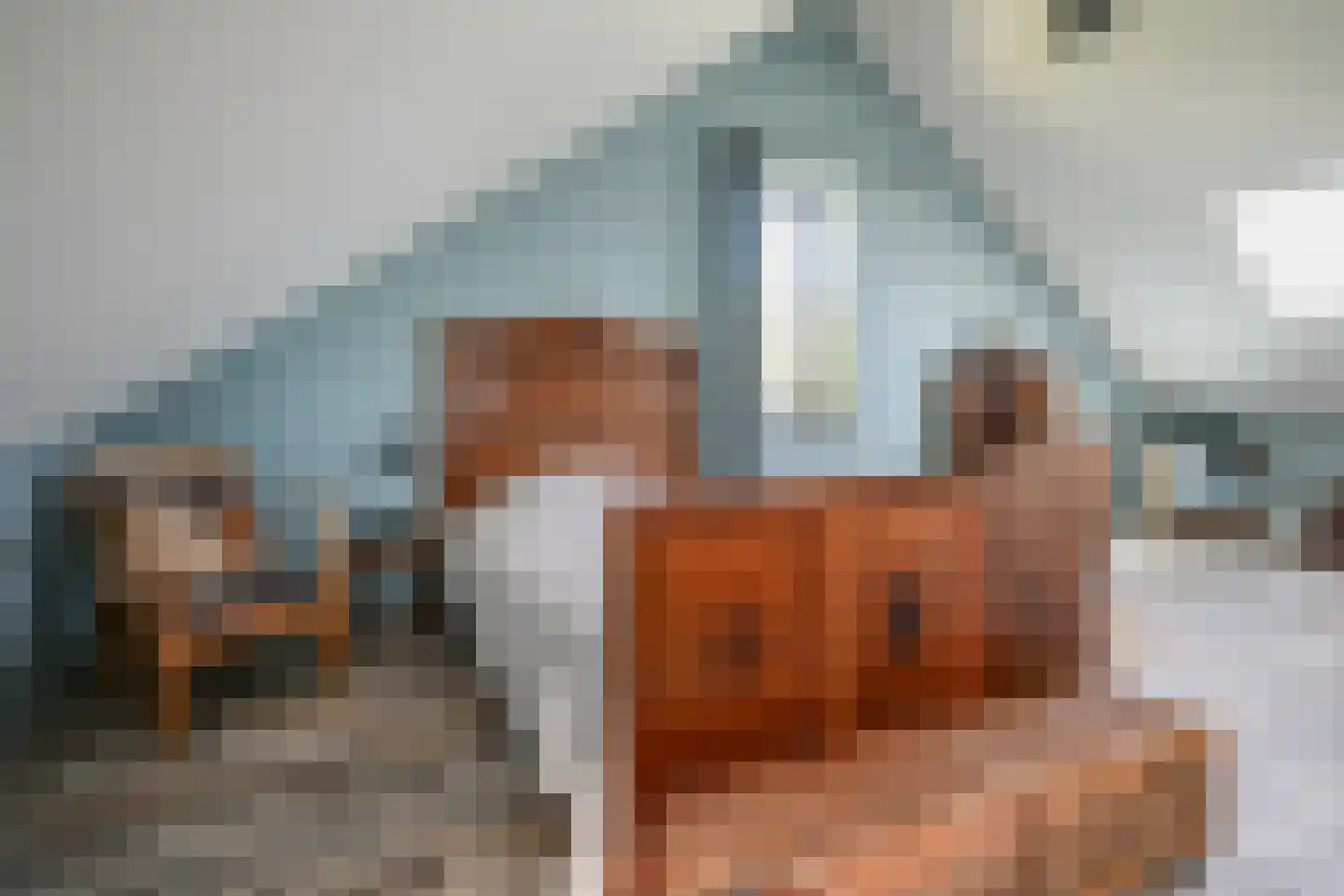 Noweetuinen 22 Delft thumbnail 31