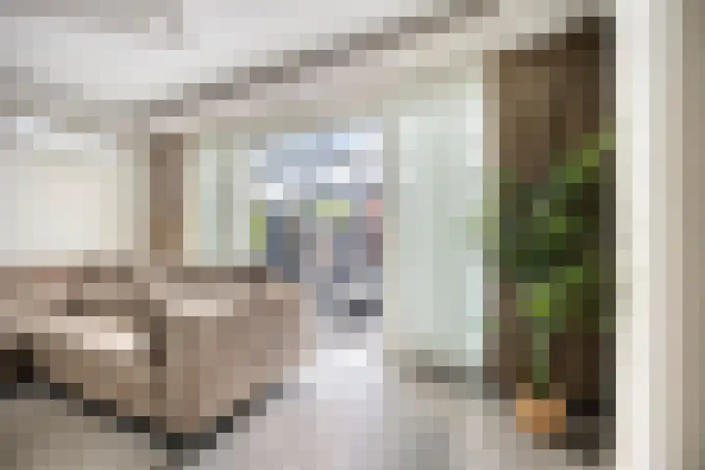 Noweetuinen 5 Delft thumbnail 11