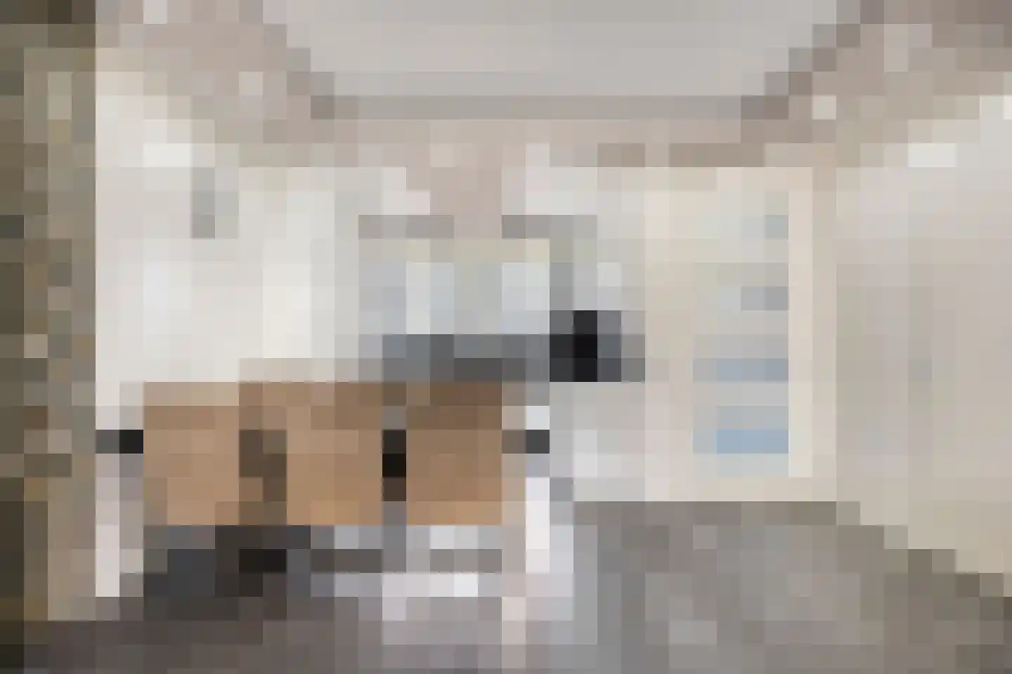 Noweetuinen 5 Delft thumbnail 13