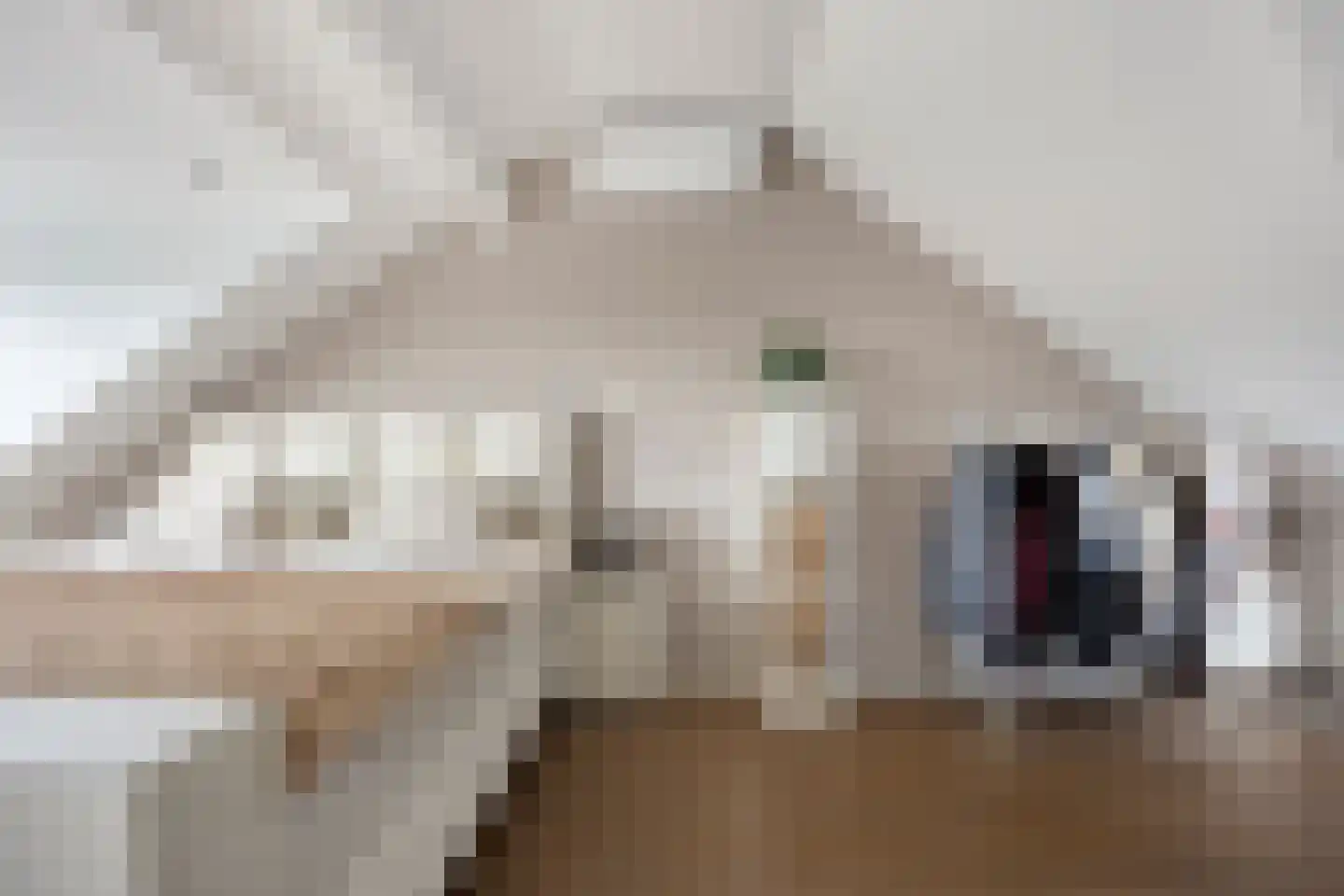 Noweetuinen 5 Delft thumbnail 32