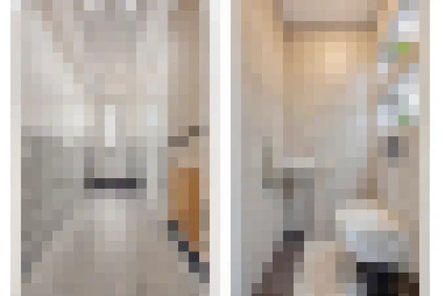 Noweetuinen 5 Delft thumbnail 7