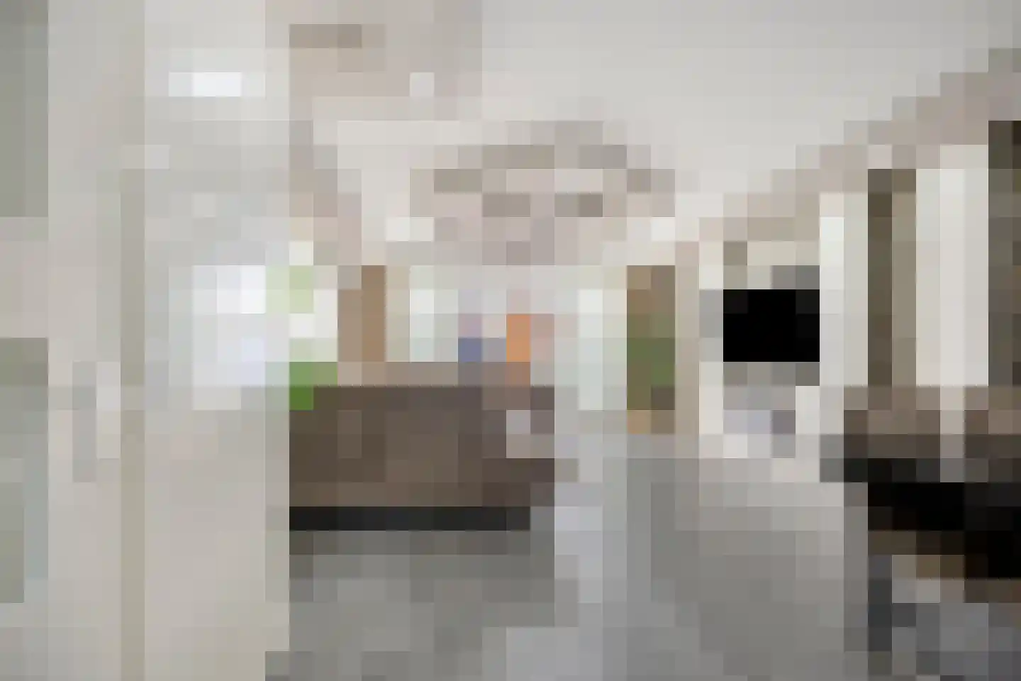 Noweetuinen 5 Delft thumbnail 8