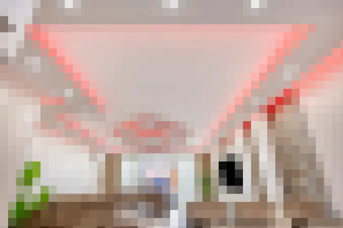 Noweetuinen 5 Delft thumbnail 9