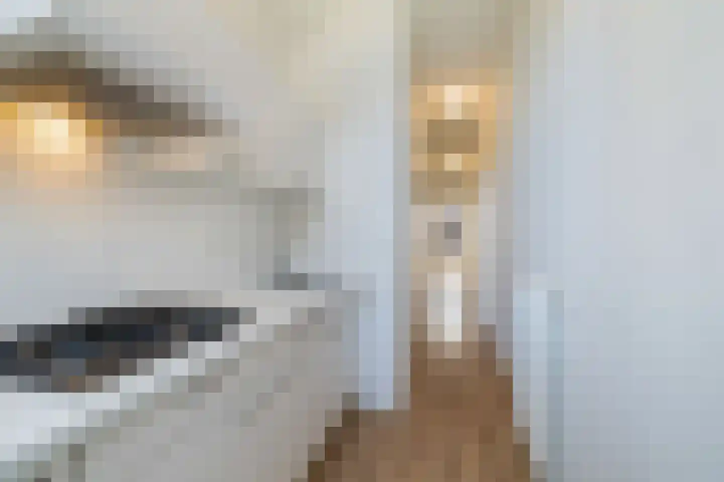 Nozemanstraat 31 A 02 Rotterdam thumbnail 20