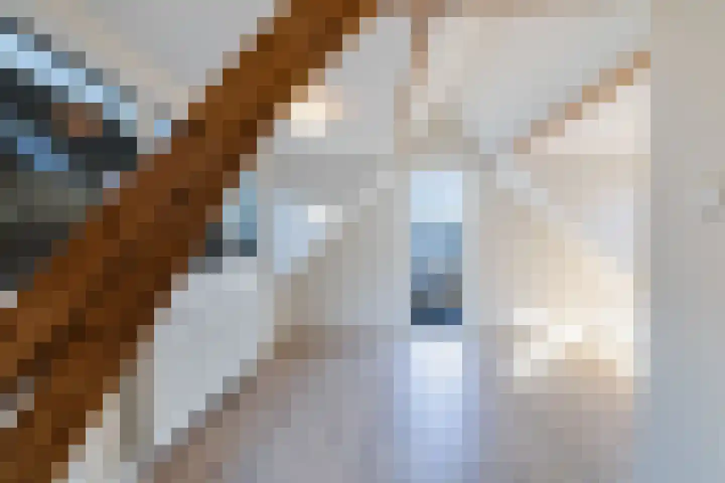 Nozemanstraat 31 A 02 Rotterdam thumbnail 34