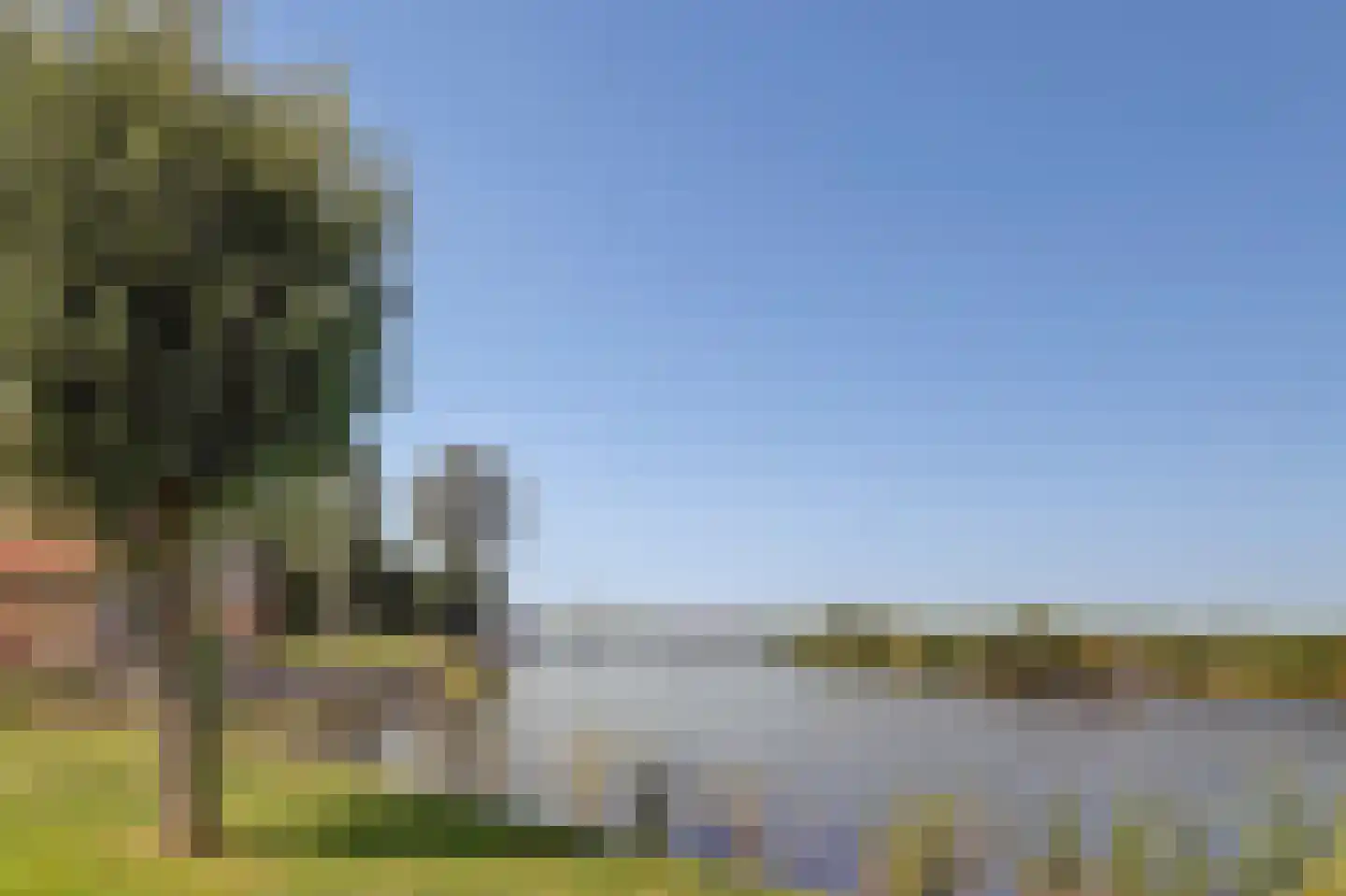 Nr 44 Indijk thumbnail 12