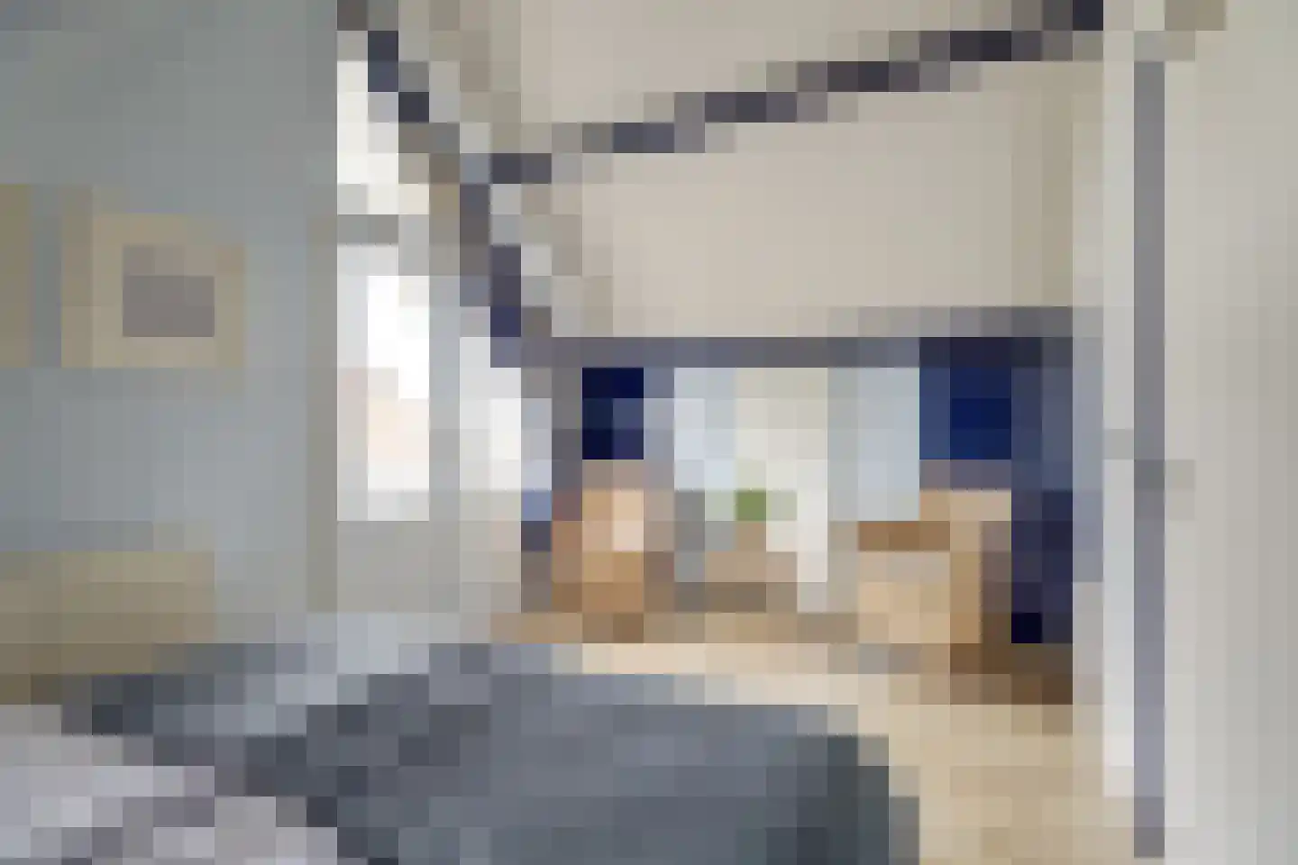 Nr 44 Indijk thumbnail 15