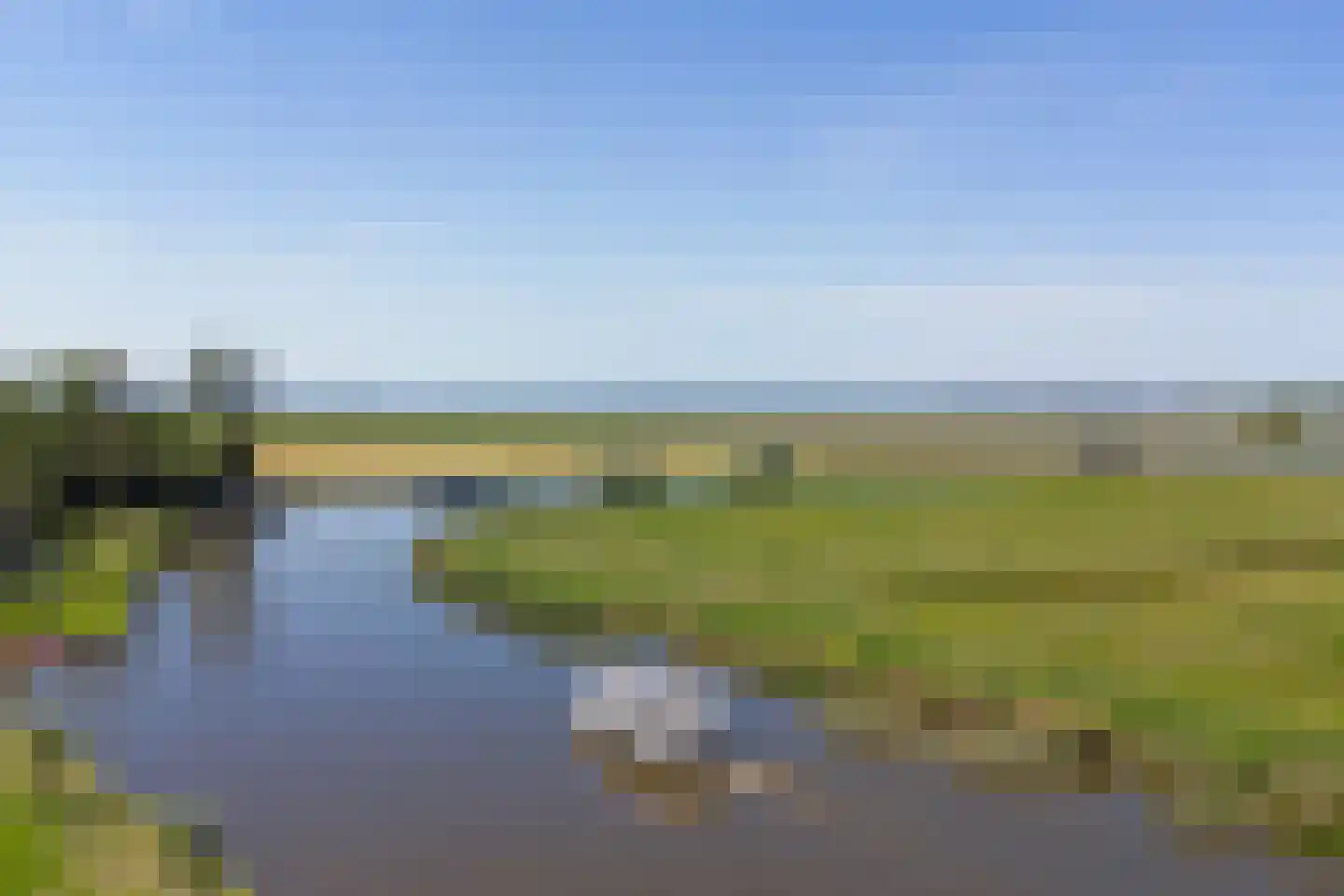 Nr 44 Indijk thumbnail 20