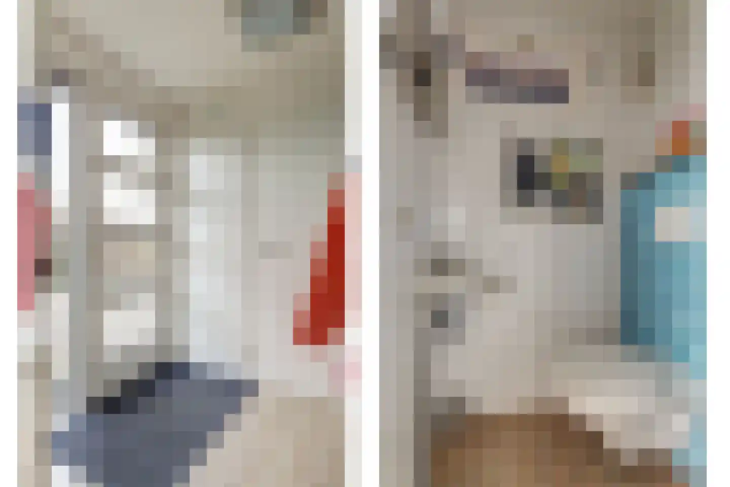 Nr 44 Indijk thumbnail 22