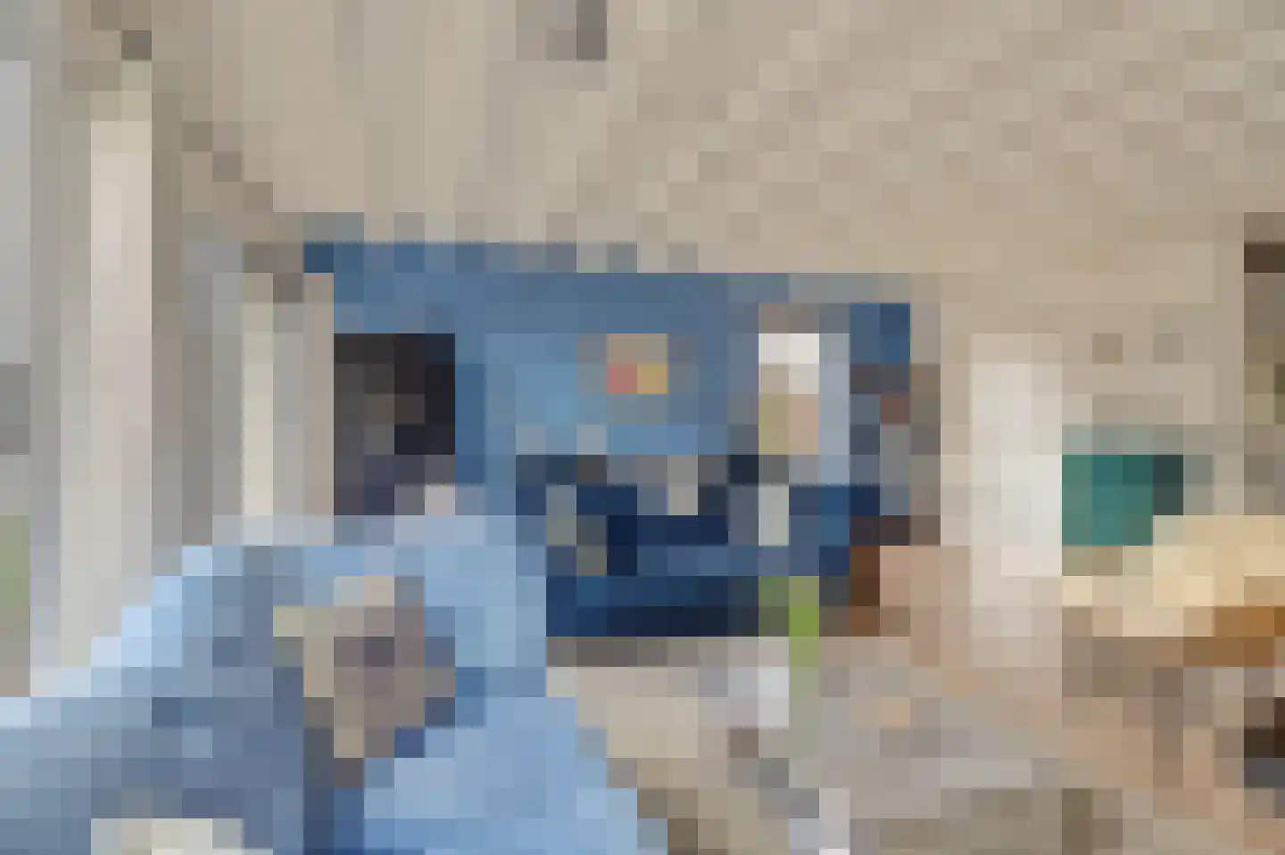 Nr 44 Indijk thumbnail 24