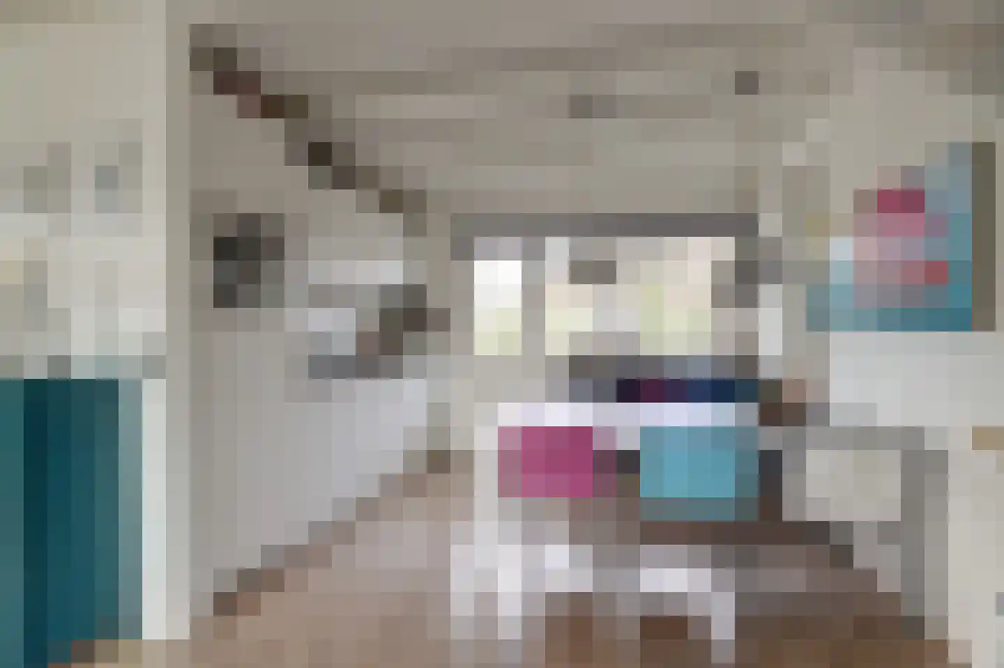 Nr 44 Indijk thumbnail 26
