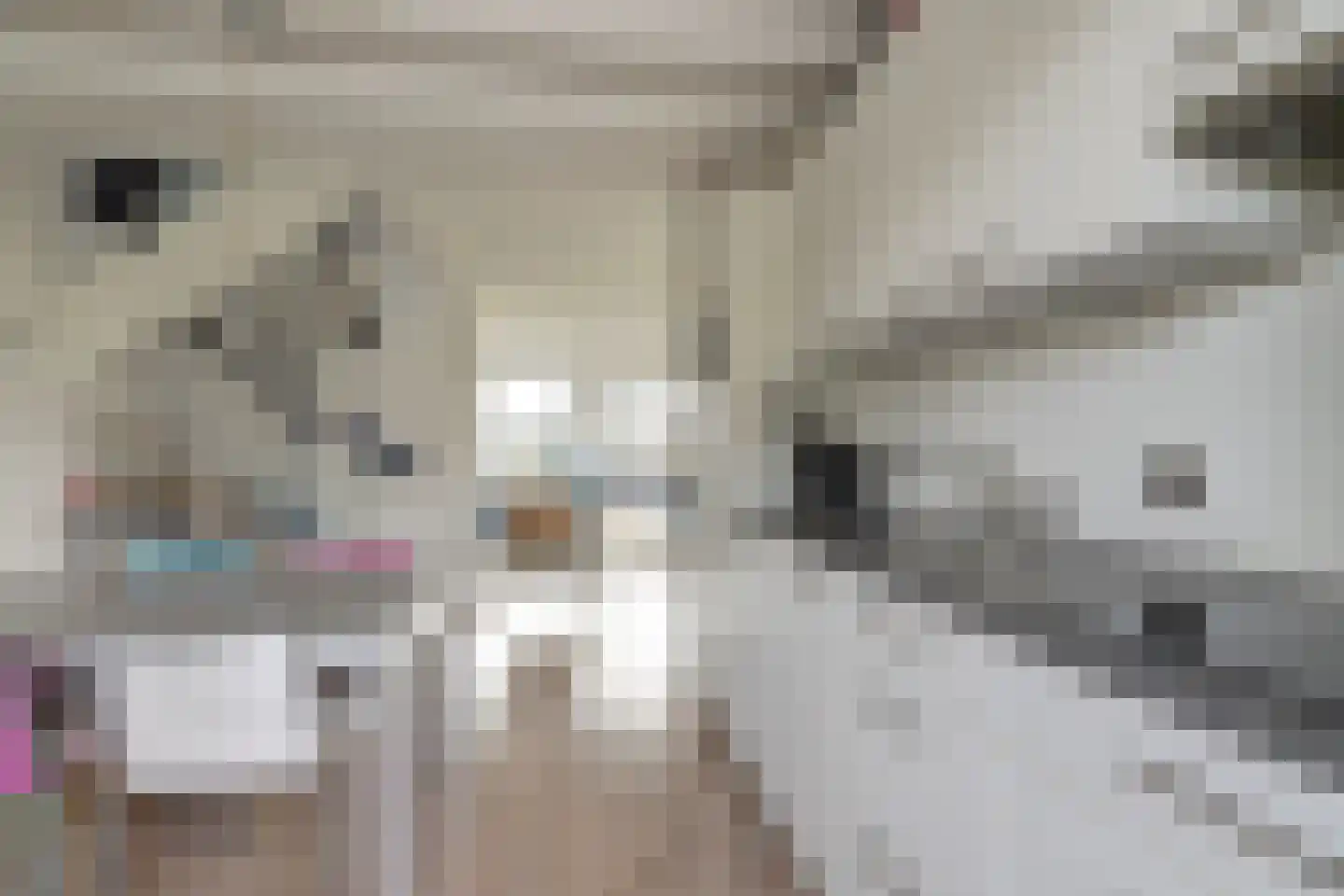 Nr 44 Indijk thumbnail 28