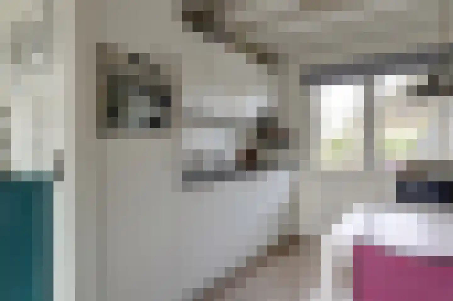 Nr 44 Indijk thumbnail 29
