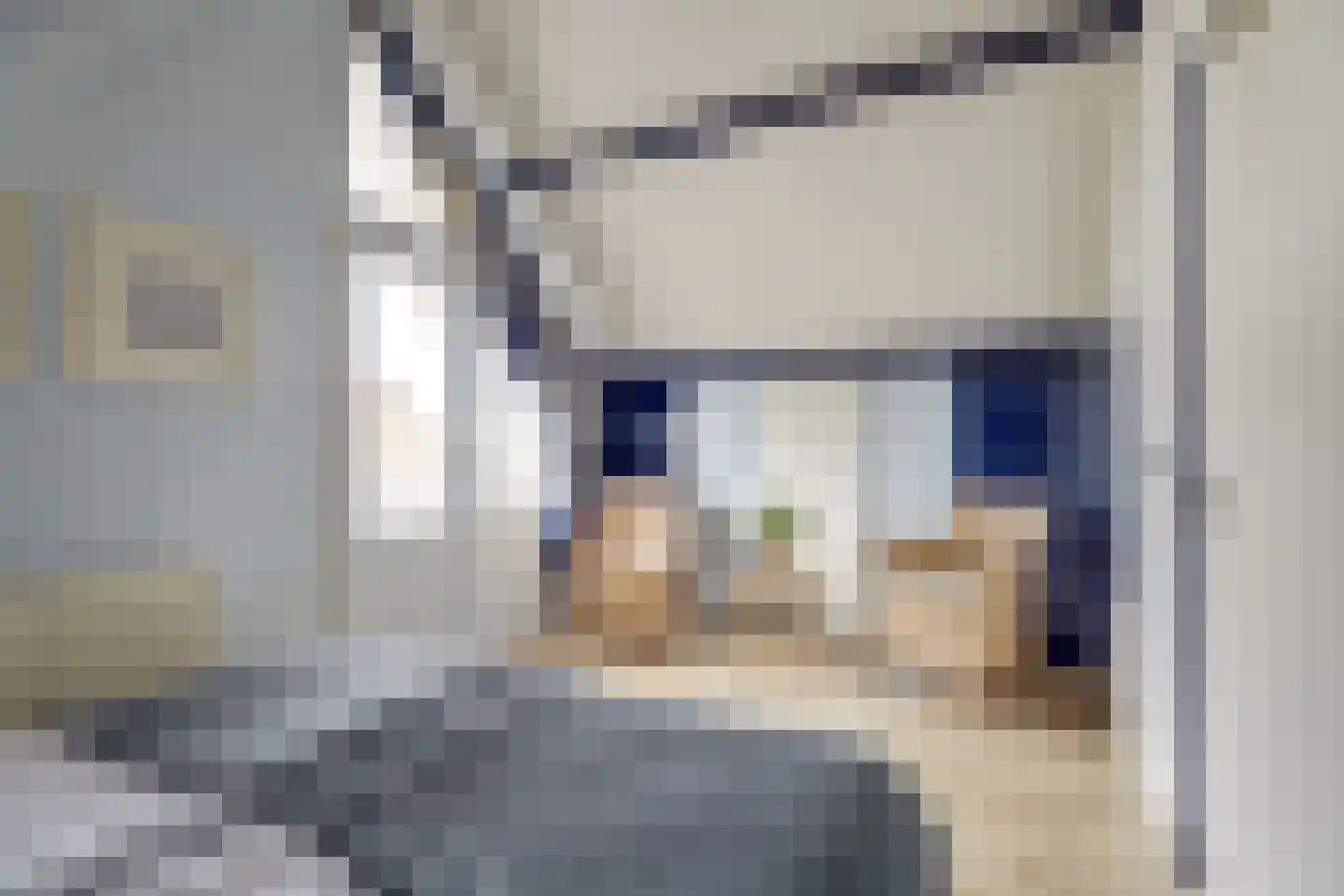 Nr 44 Indijk thumbnail 30