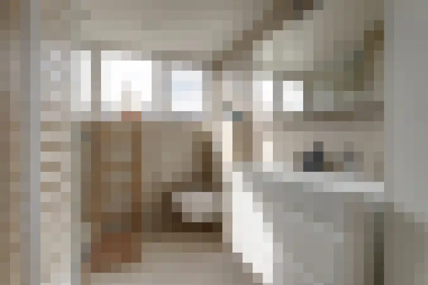 Nr 44 Indijk thumbnail 31