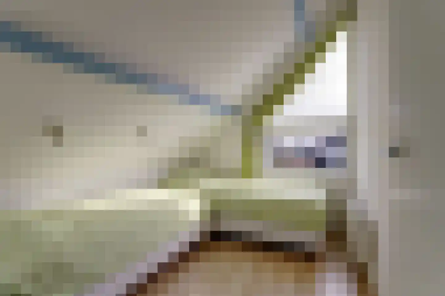 Nr 44 Indijk thumbnail 36