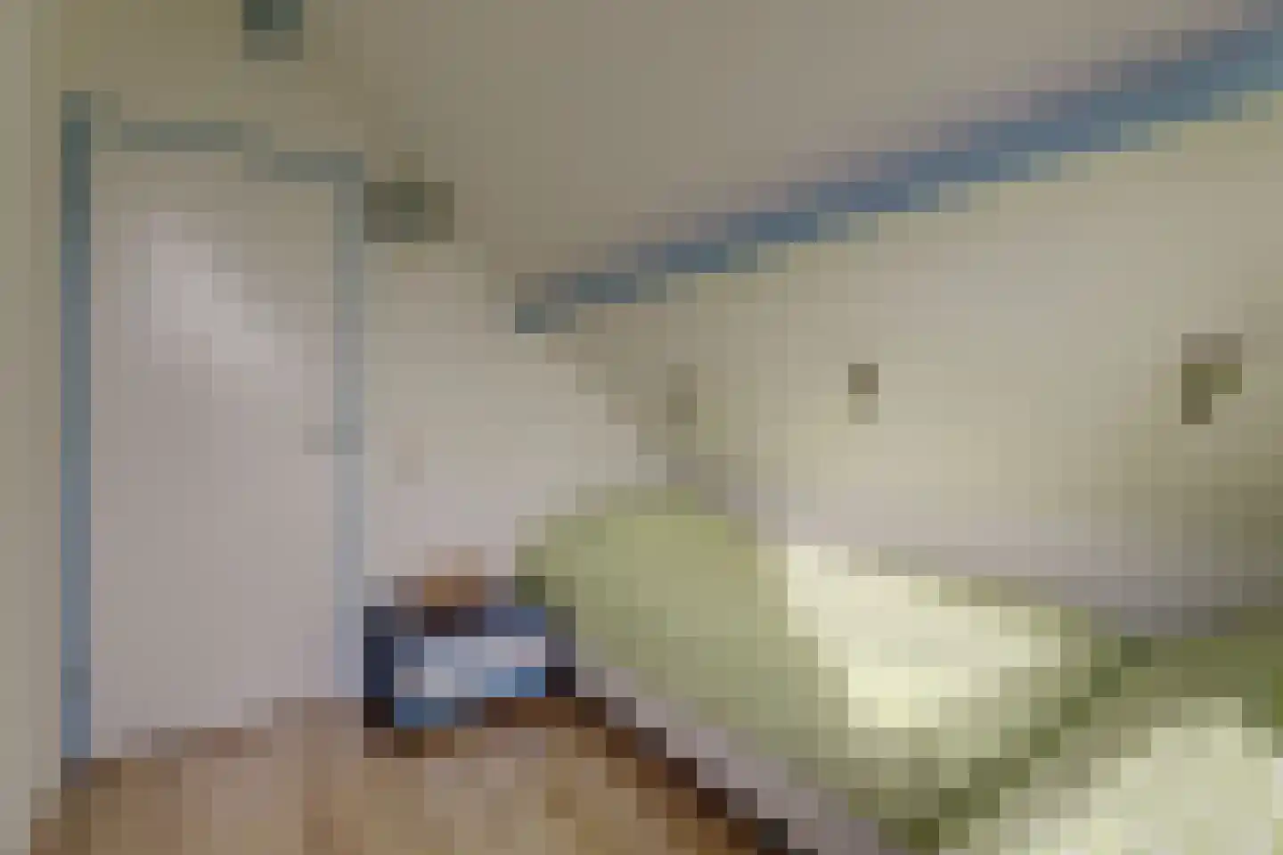 Nr 44 Indijk thumbnail 37