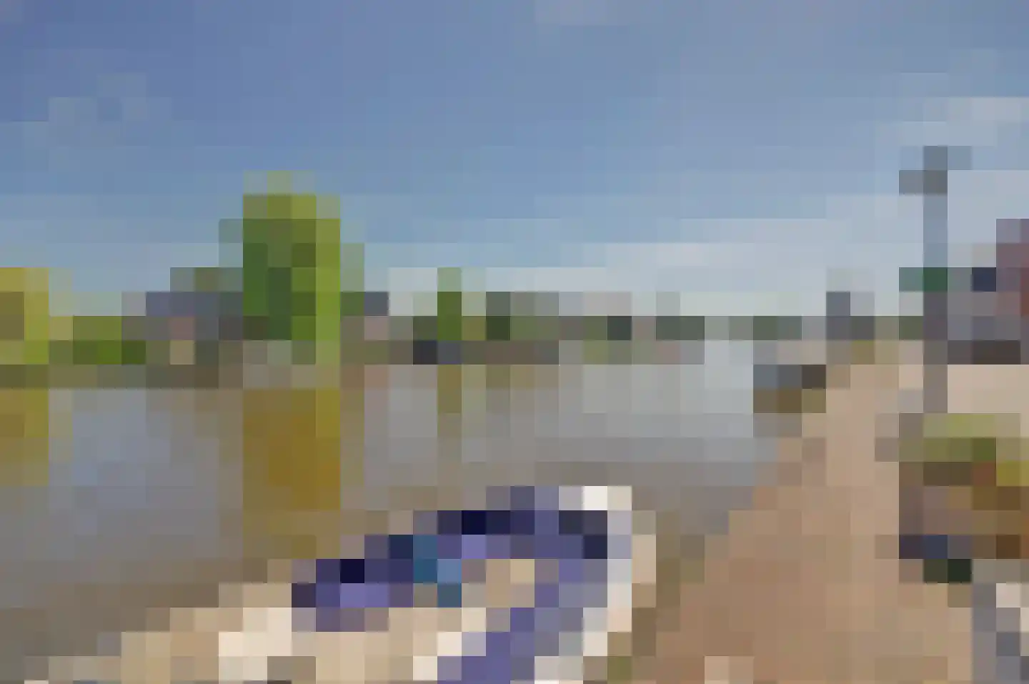 Nr 44 Indijk thumbnail 42