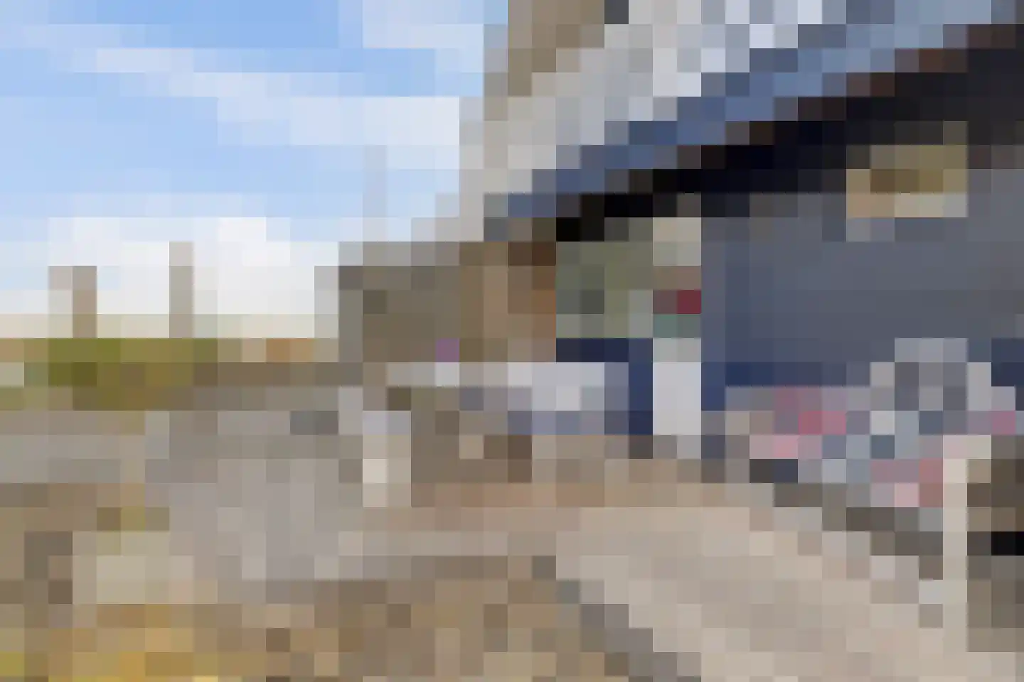 Nr 44 Indijk thumbnail 6