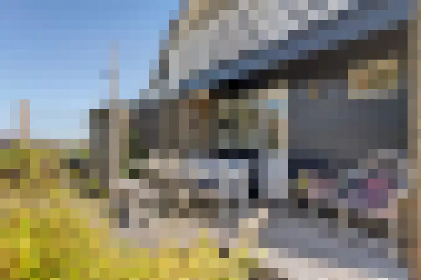 Nr 44 Indijk thumbnail 6