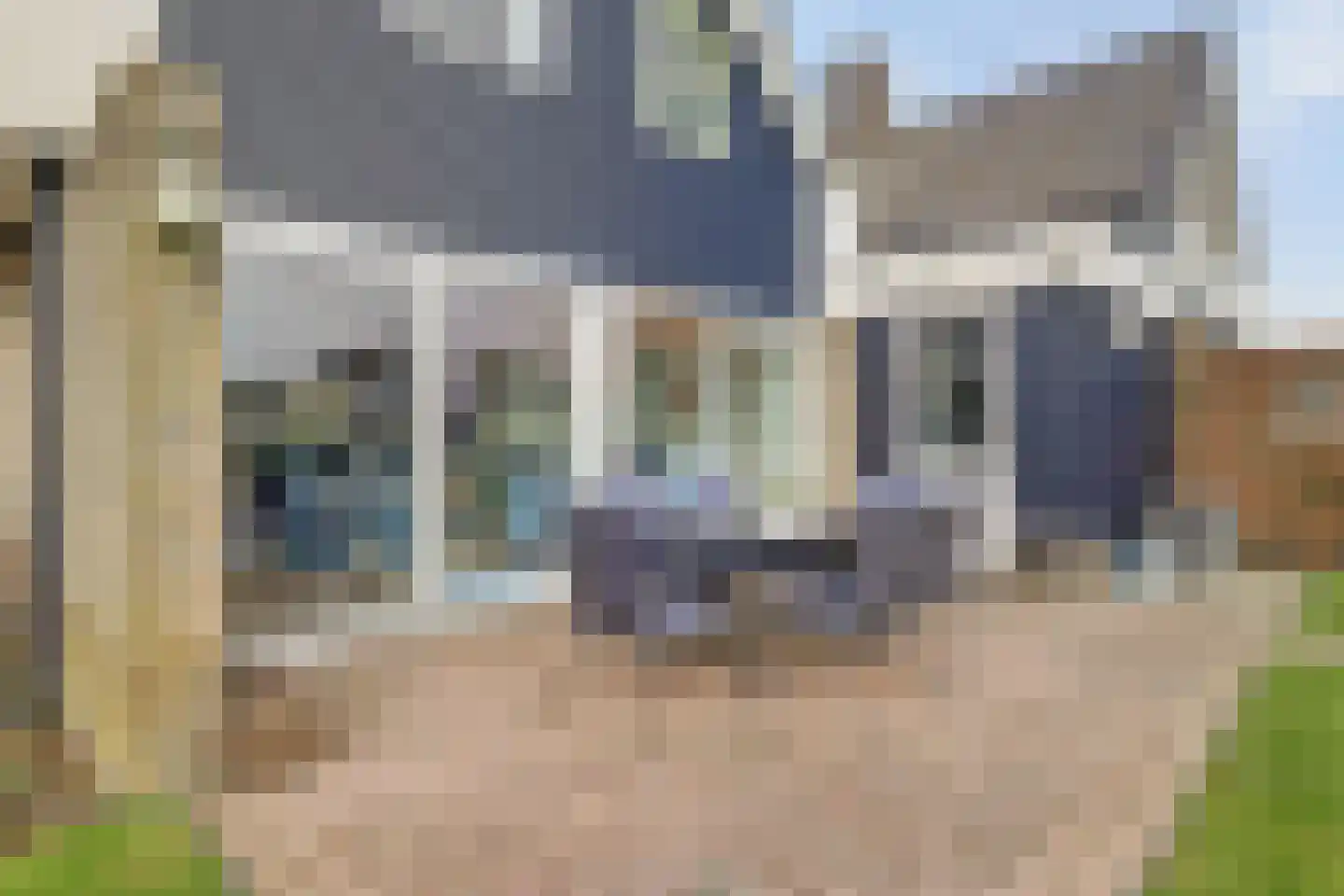Nr 44 Indijk thumbnail 9