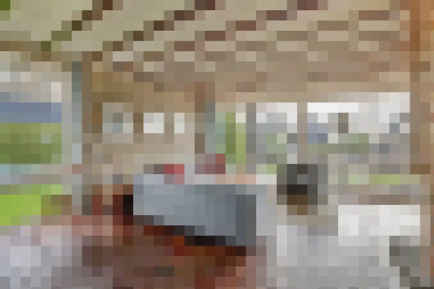 Nr 69 Indijk thumbnail 11