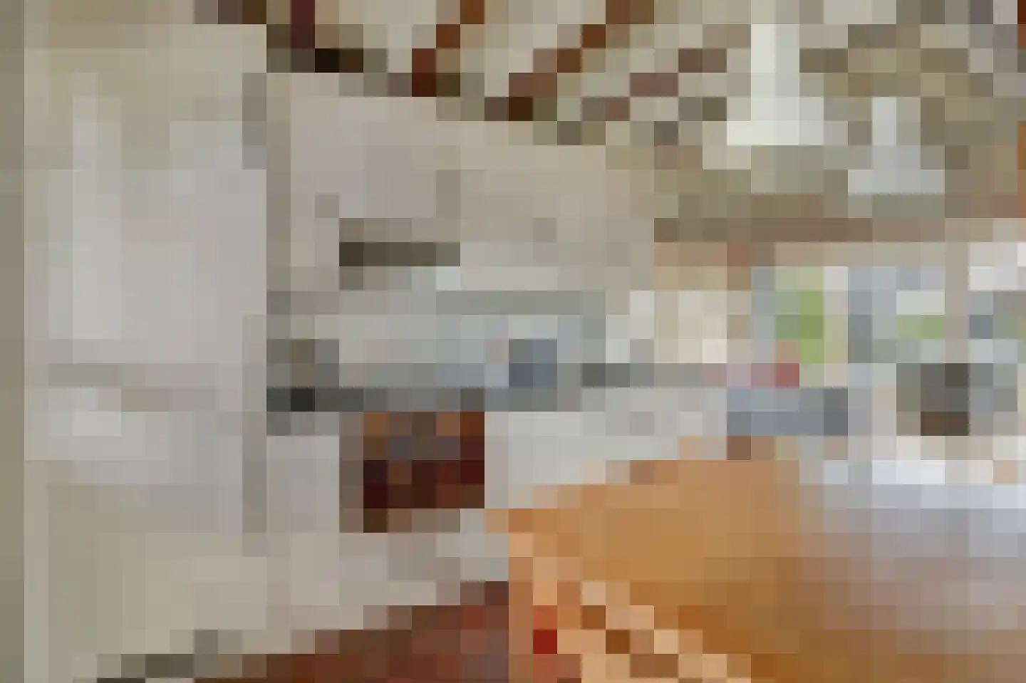 Nr 69 Indijk thumbnail 12