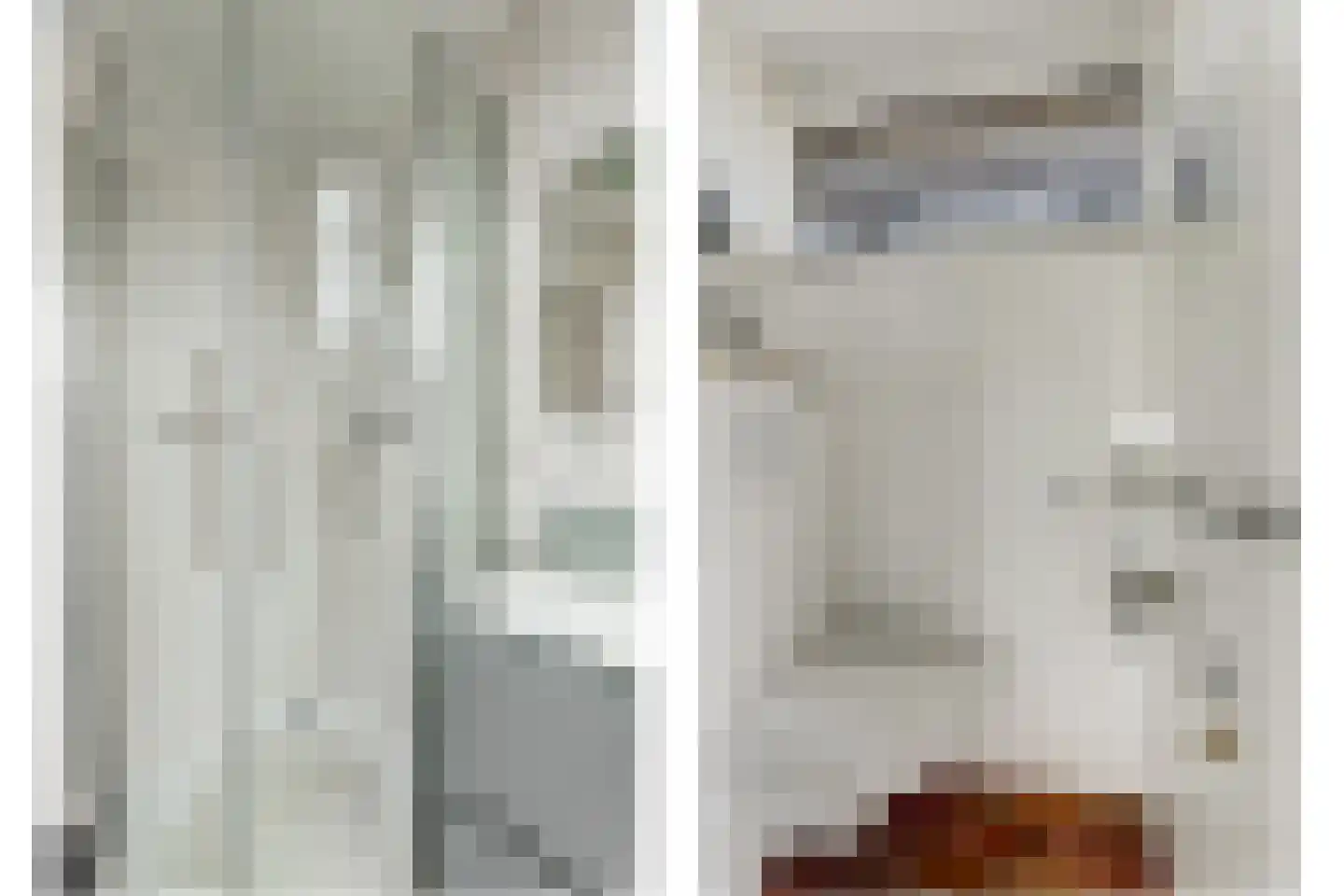Nr 69 Indijk thumbnail 13
