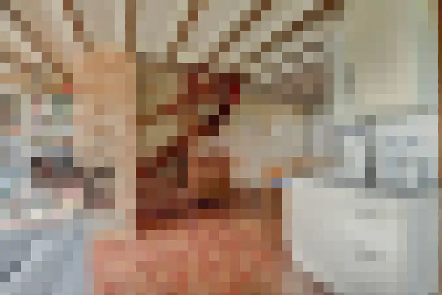 Nr 69 Indijk thumbnail 13